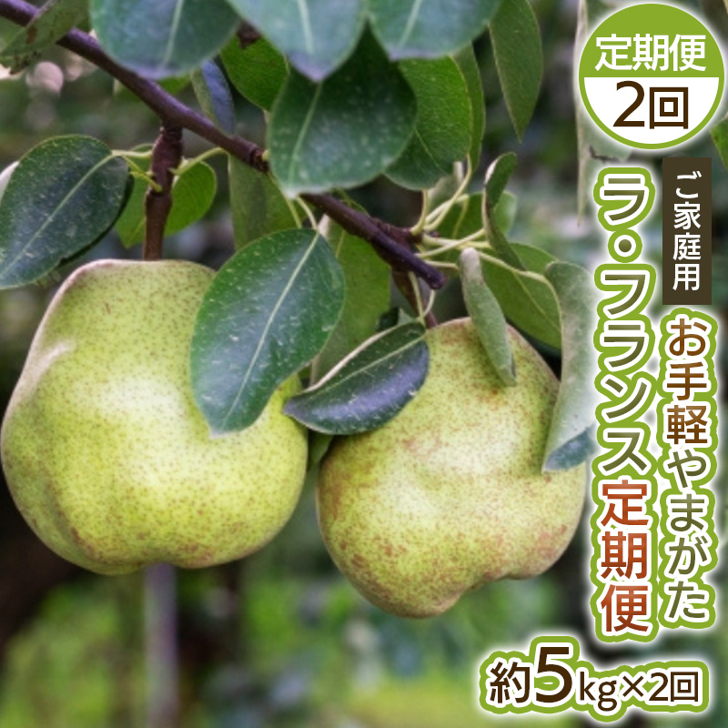 【定期便2回】お手軽 ご家庭用 やまがたラ・フランス 5kg×2