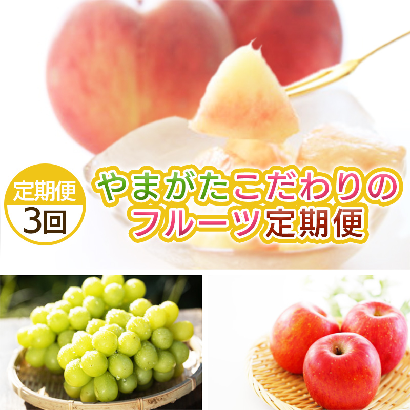 【定期便3回】やまがた こだわりのフルーツ定期便 【令和8