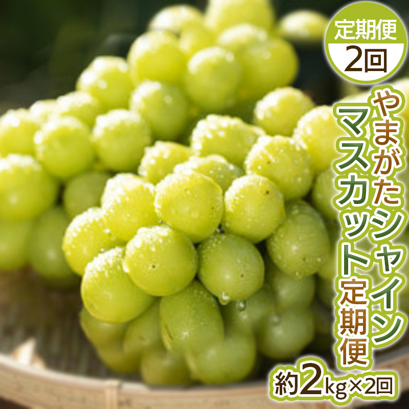 【定期便2回】やまがた シャインマスカット 秀品 約2kg×2回