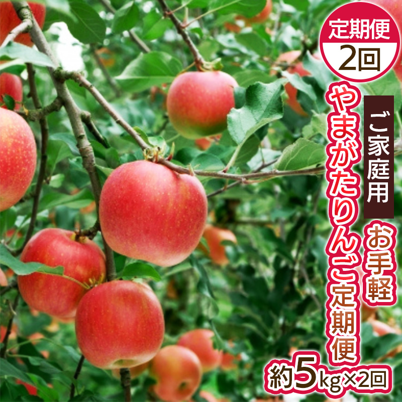 【定期便2回】お手軽 ご家庭用 やまがたりんご定期便 FY25-04