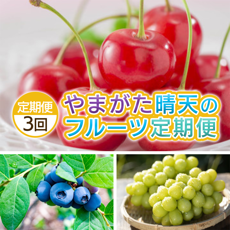 【定期便3回】やまがた 晴天のフルーツ定期便 【令和8年産