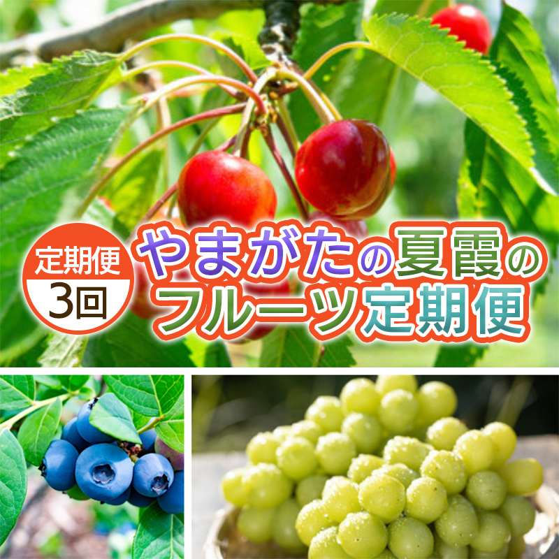 【定期便3回】やまがた　夏霞のフルーツ定期便 【令和8年