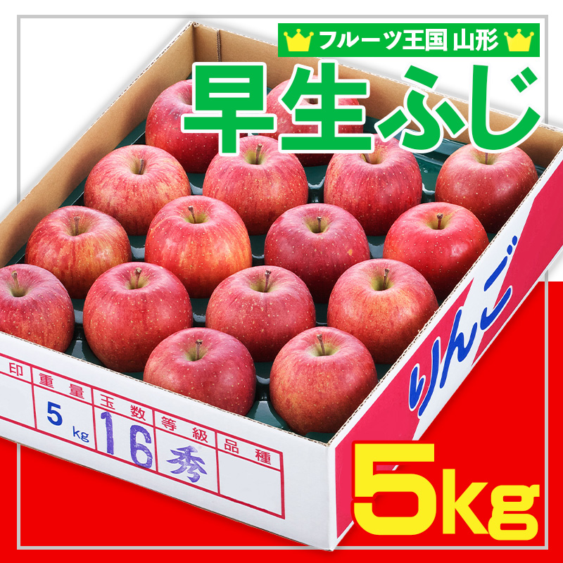 ☆フルーツ王国山形☆ りんご (早生ふじ) 秀品 5kg【令和8年