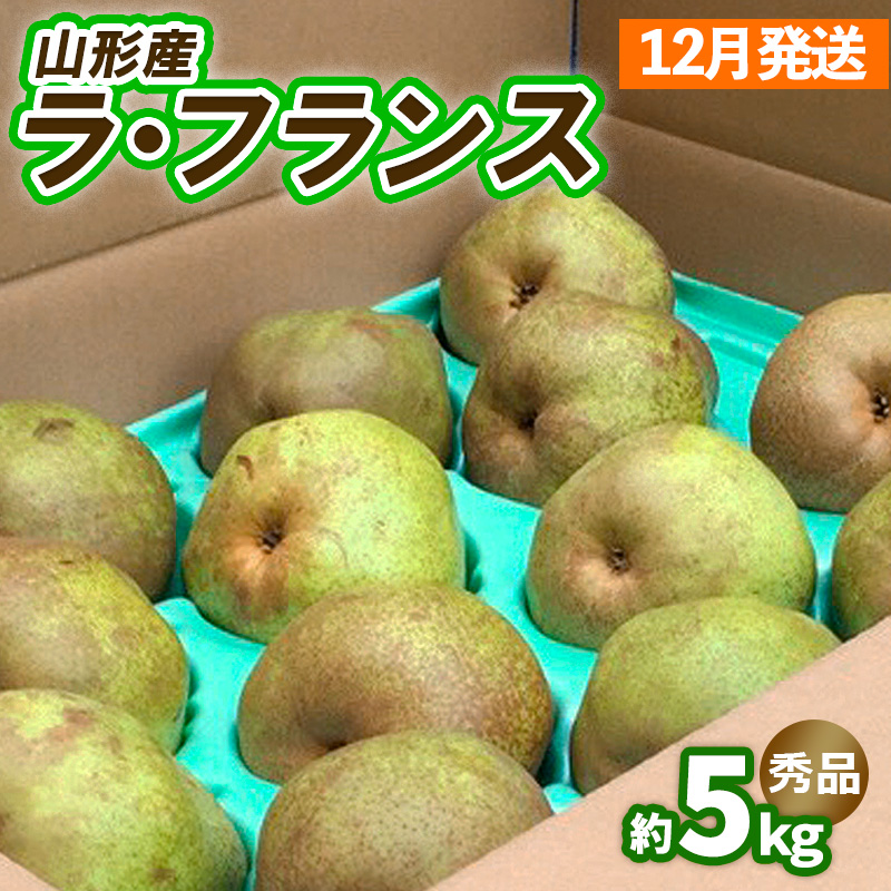 山形のラ・フランス約5kg（10～16玉 3L～6L)[12月発送] FY25-028