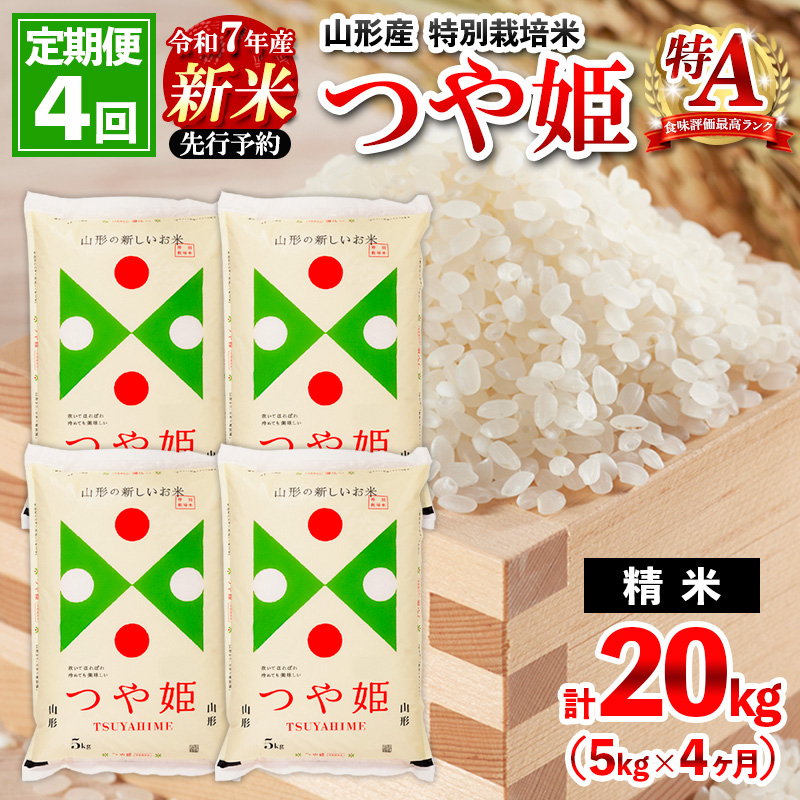 【12月発送開始】【定期便4回】 先行予約 令和7年産 新米 山