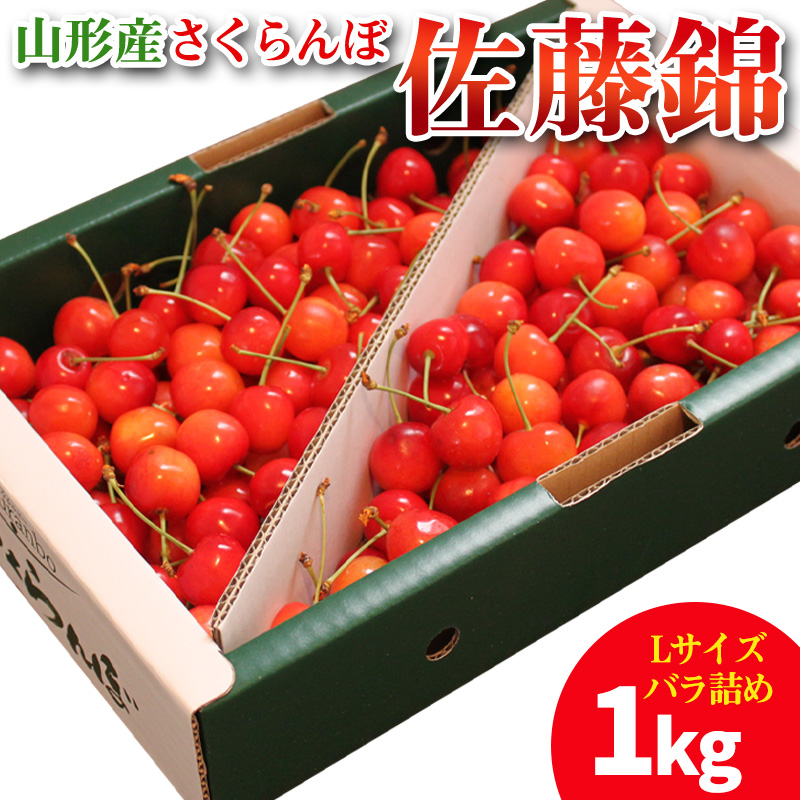 山形産 さくらんぼ 佐藤錦 1kg Lサイズ バラ詰め 【令和8年産