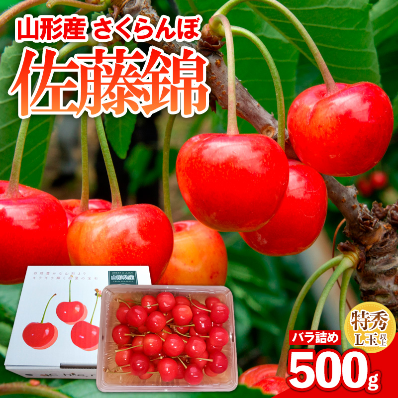 さくらんぼ 佐藤錦 500gパック バラ詰め 特秀 L玉以上 FY25-121