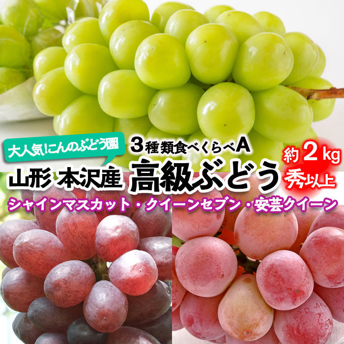 大人気！【こんのぶどう園】山形本沢産 高級ぶどう 3種食