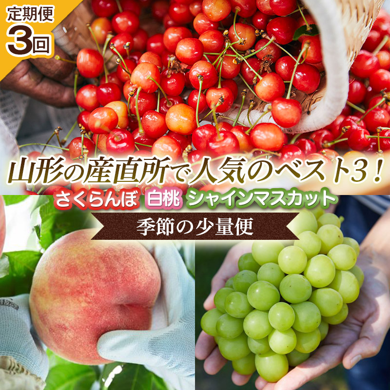 【定期便3回】山形の産直所で人気のベスト3！さくらんぼ・