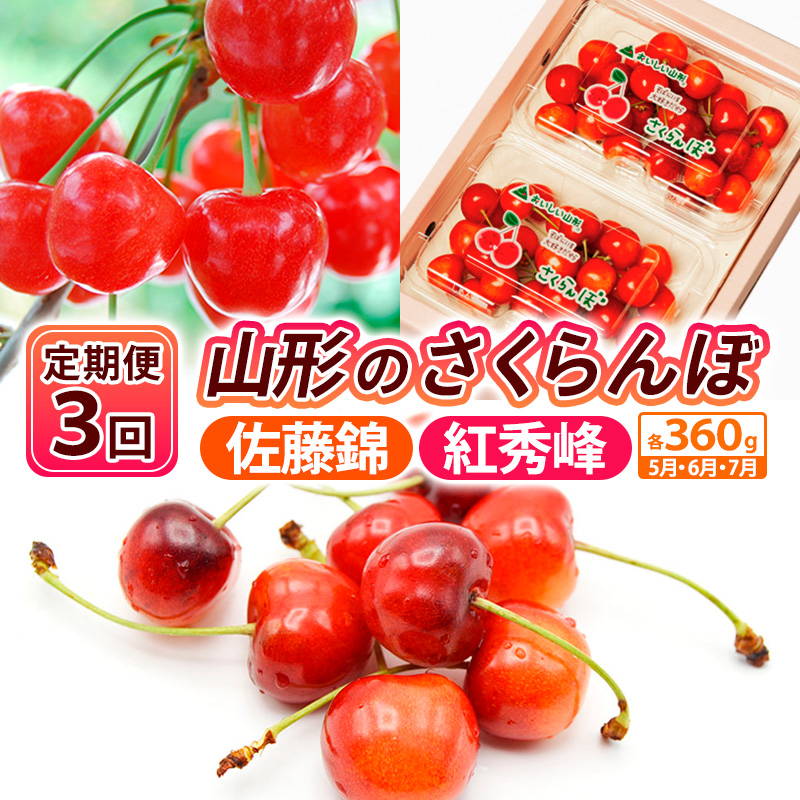 【定期便3回】山形のさくらんぼ 佐藤錦・紅秀峰 各360g×3回[