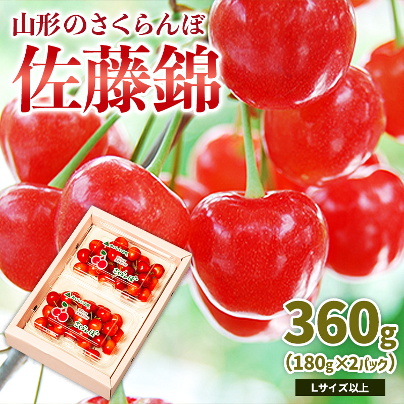 山形のさくらんぼ 佐藤錦 360g Lサイズ以上 (180g×2パック) 【