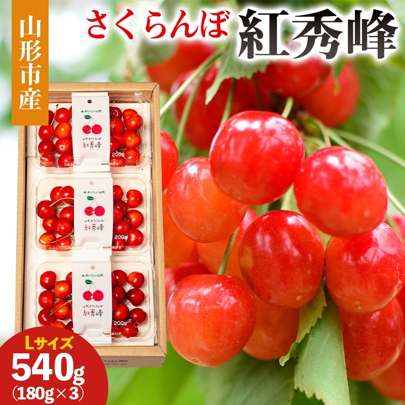 山形市産 さくらんぼ(紅秀峰)L 540g(180g×3) 【令和8年産先行予