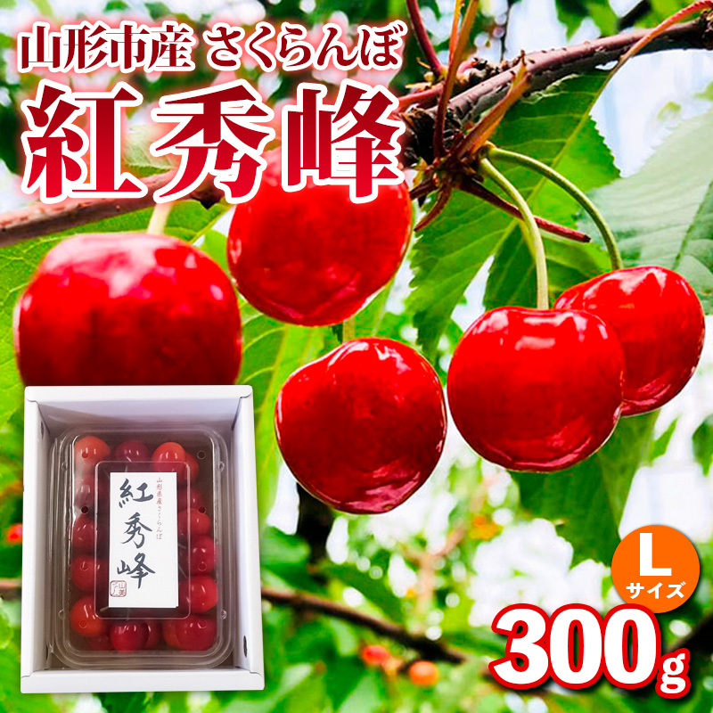 山形市産さくらんぼ【紅秀峰】Lサイズ 300g バラ詰め【令和8