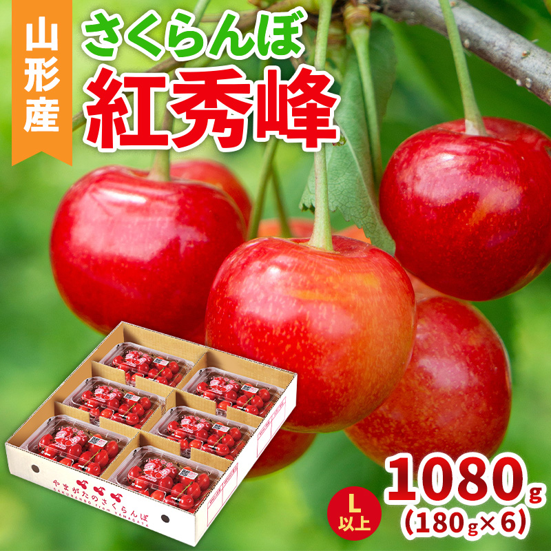 さくらんぼ(紅秀峰)Lサイズ以上 1080g(180g×6パック) 【令和8年