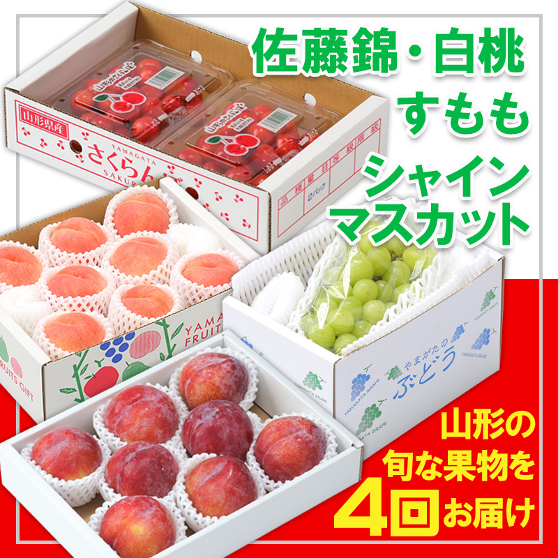 【定期便4回】☆フルーツ王国山形☆『佐藤錦、白桃、すも