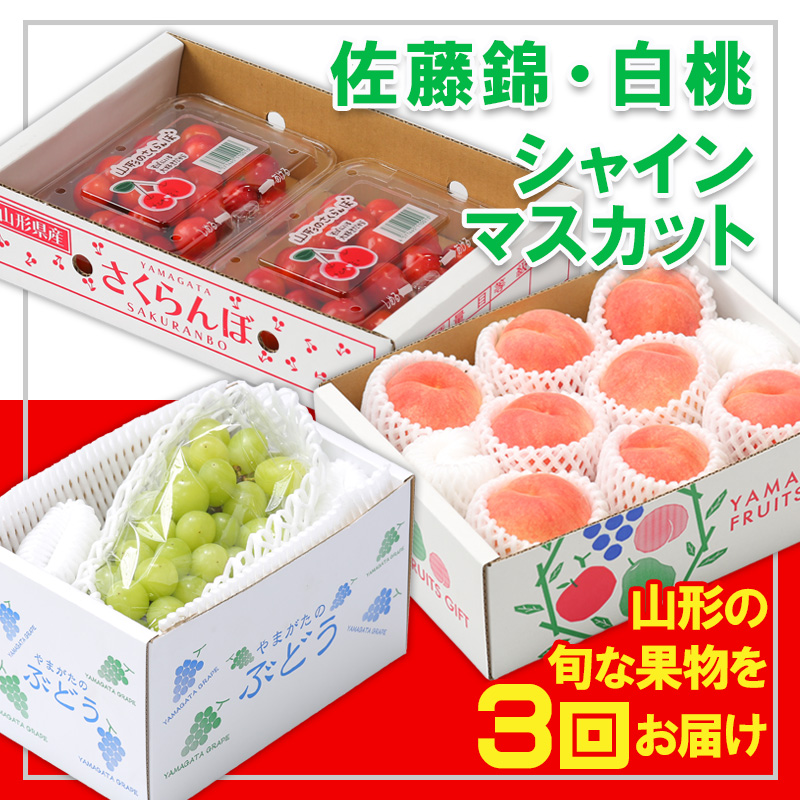 【定期便3回】☆フルーツ王国山形☆『佐藤錦、白桃、シャ