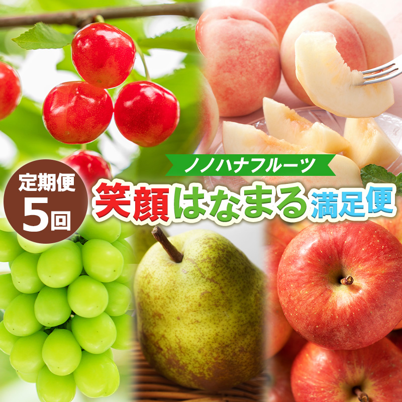 【定期便5回】ノノハナフルーツ 笑顔はなまる満足便 FY25-330