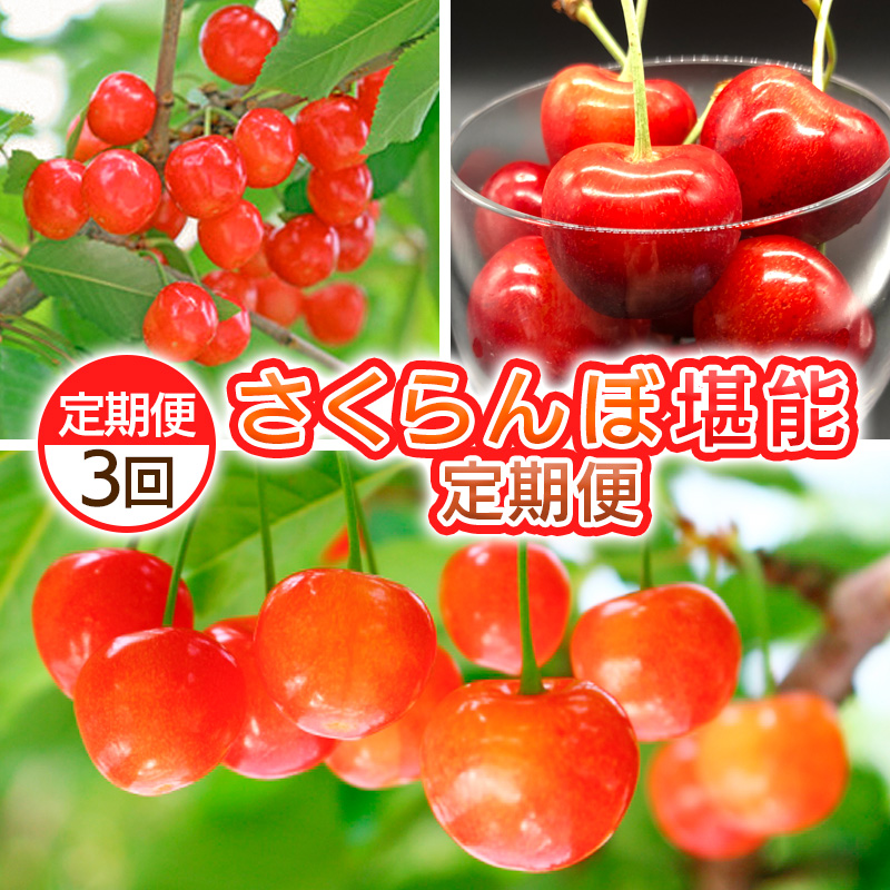 【定期便3回】さくらんぼ堪能定期便【令和8年産先行予約】