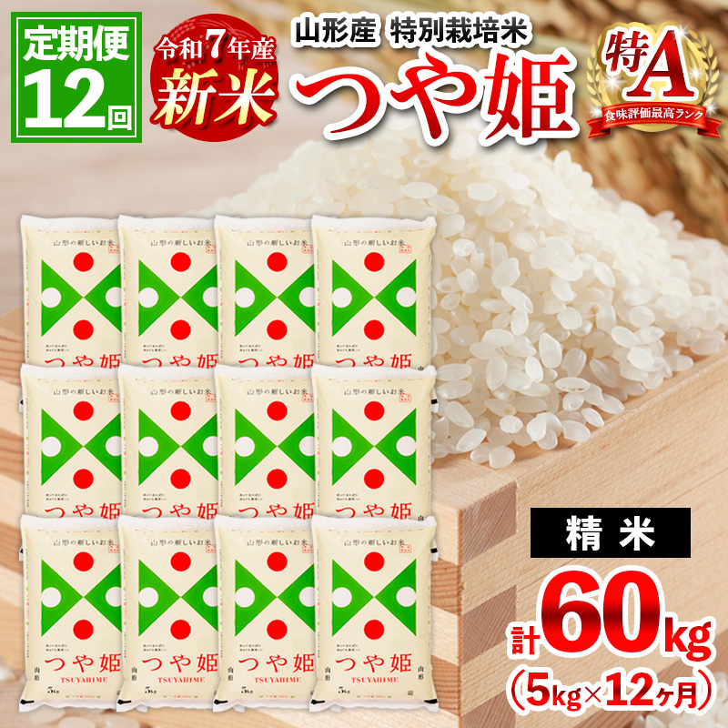 【2月発送開始】 【定期便12回】 先行予約 令和7年産 新米