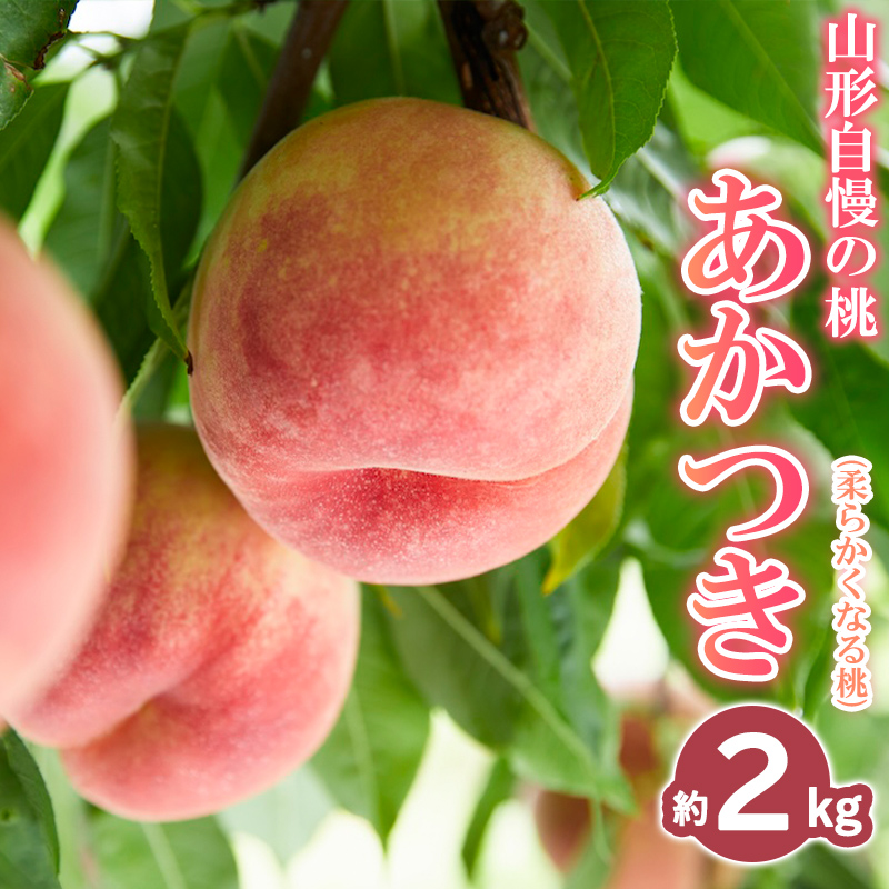山形自慢の桃 【あかつき】 約2kg【令和8年産先行予約】FS25-
