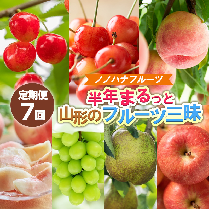 【定期便7回】ノノハナフルーツ 半年まるっと山形のフルー