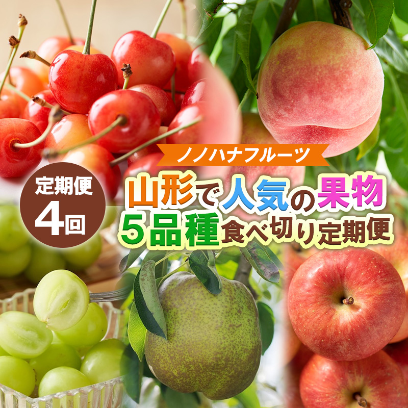 【定期便4回】ノノハナフルーツ 山形市で人気の果物５品種