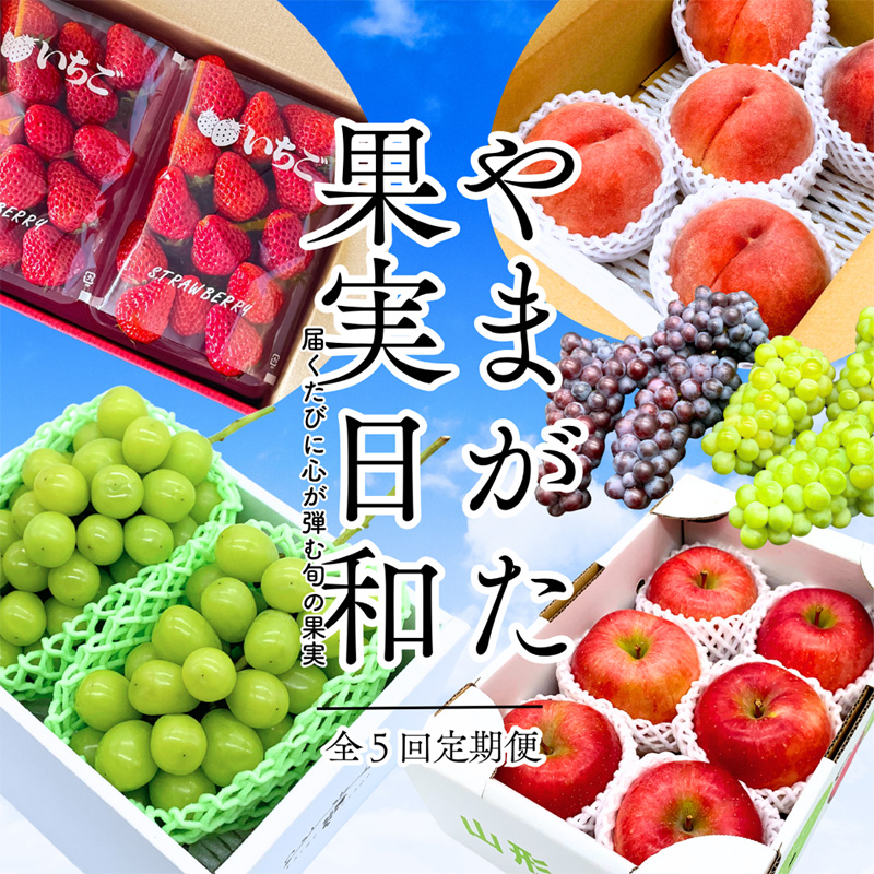 【定期便5回】やまがた果実日和定期便 今日も"おいしい日"