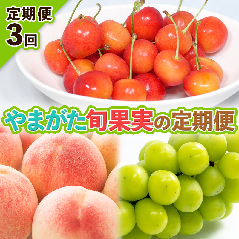 【定期便3回】やまがた旬果実の定期便【令和8年産先行予約