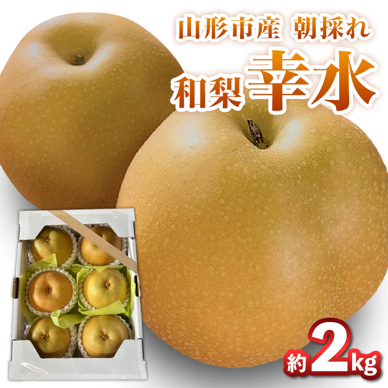 山形市産朝採れ【和梨(幸水)】 6～7玉 約2kg【令和8年産先行