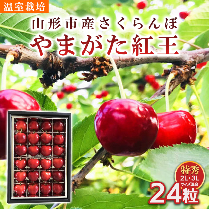 山形市産 さくらんぼ 温室栽培【やまがた紅王 特秀品】2L・