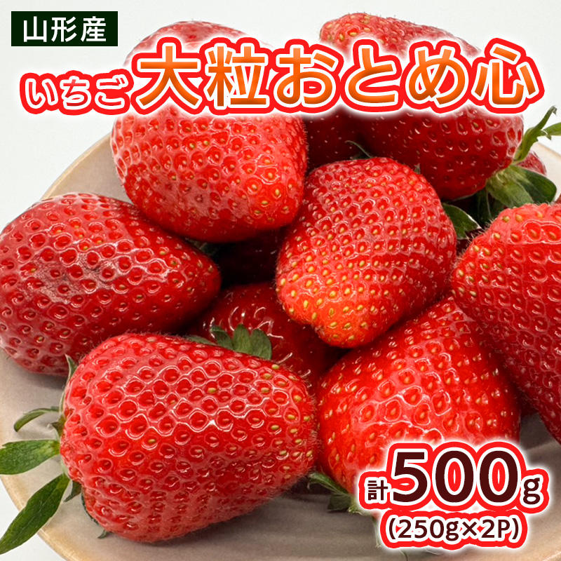 いちご 大粒おとめ心 500g(250g×2パック)【令和8年産先行予約