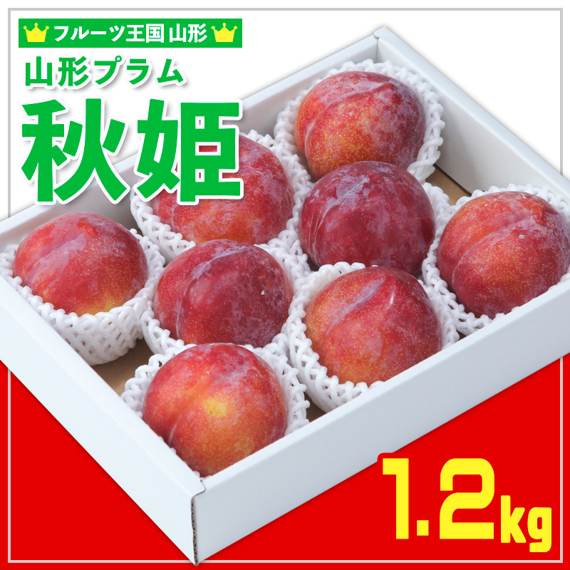 ★フルーツ王国山形★山形プラム(秋姫)1.2kg すもも【令和8