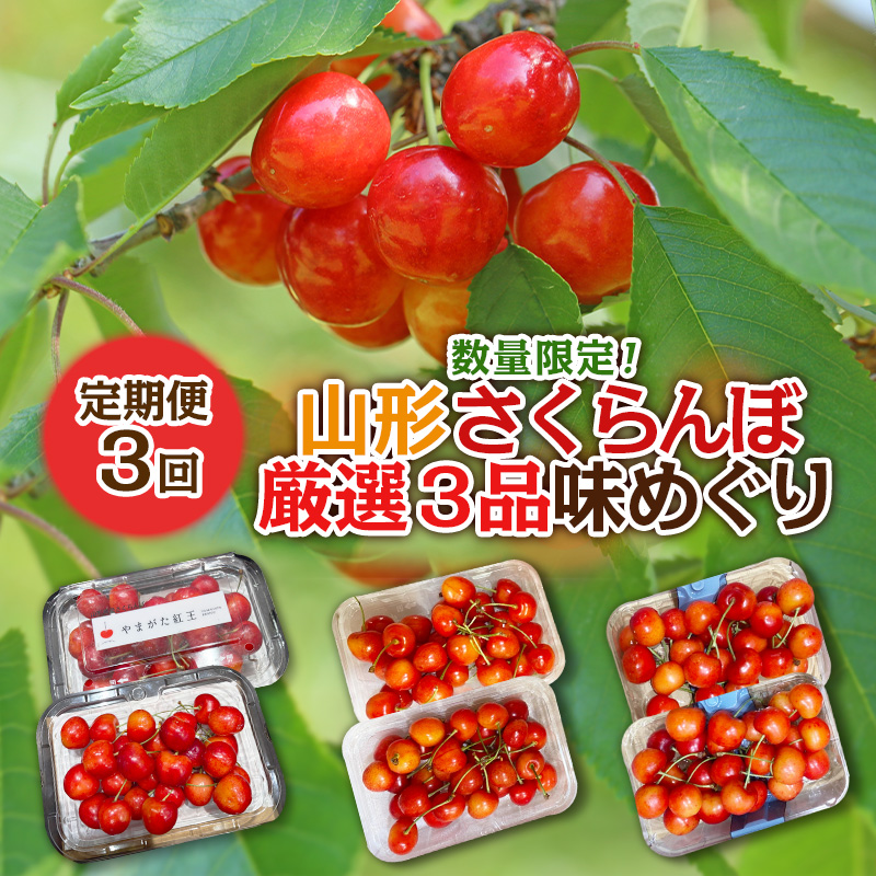 【定期便3回】数量限定！山形さくらんぼ厳選３品味めぐり