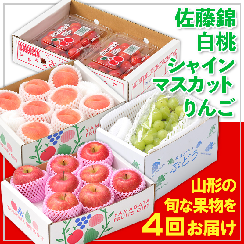 【定期便4回】☆フルーツ王国山形☆佐藤錦・白桃・シャイ