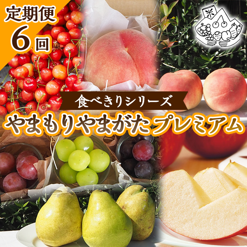 【定期便6回】★食べきりシリーズ★やまもりやまがたプレ