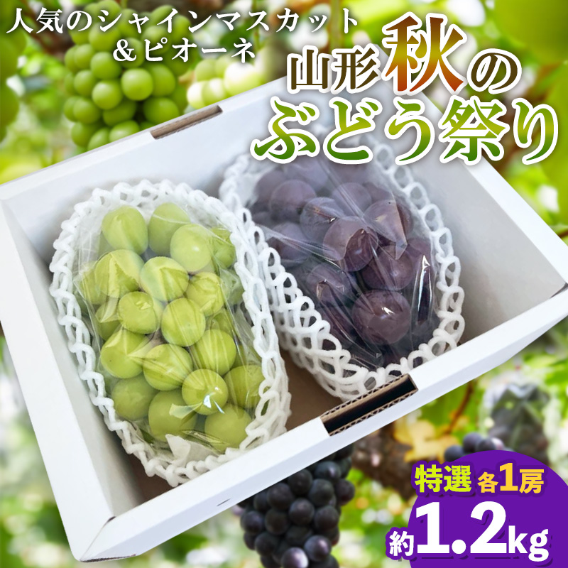 山形秋のぶどう祭り【シャインマスカット・ピオーネ 特選