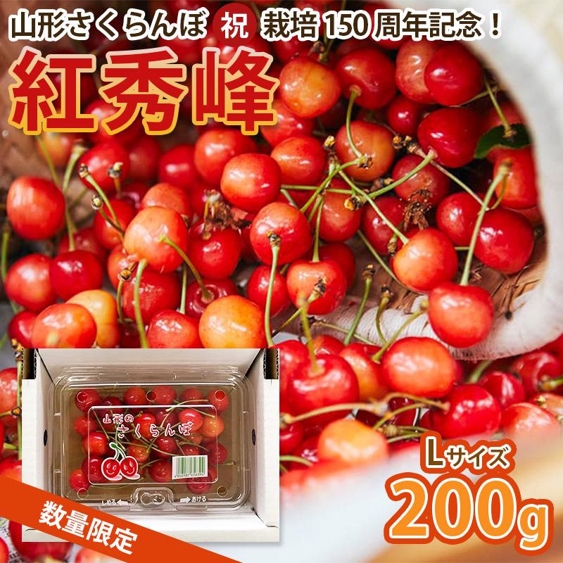 山形さくらんぼ (祝)栽培150周年記念！紅秀峰 200g L玉 数量限