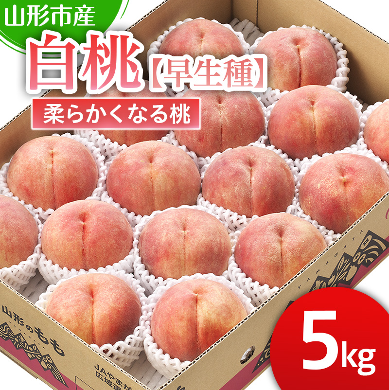 山形市産 白桃【早生種】「三郷・まどか・陽夏妃」柔らか