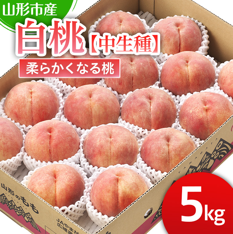 山形市産 白桃 【中生種】「かぐや・ゆうぞら・あぶくま」