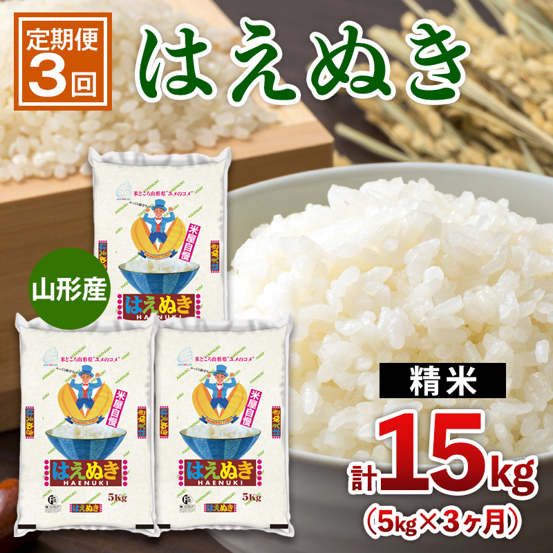 【定期便3回】山形産 はえぬき 5kg×3ヶ月(計15kg) FY25-440