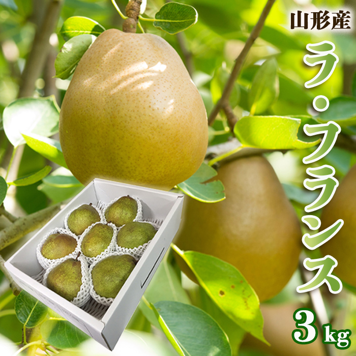 山形のラ・フランス 秀 約3kg(6～9玉・3L～6L)[12月発送]【令和