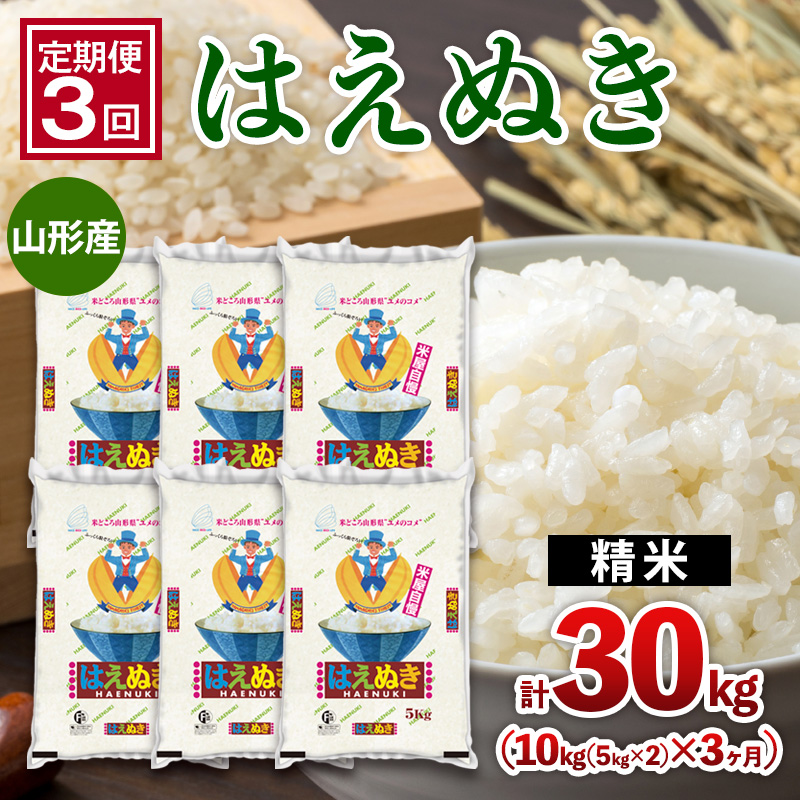 【定期便3回】山形産 はえぬき 10kg(5kg×2)x3ヶ月(計30kg) FY25-478