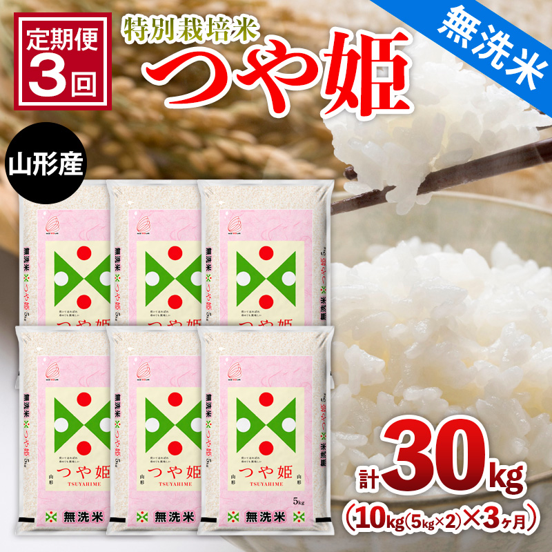 【定期便3回】山形産 特別栽培米 【無洗米】 つや姫 10kg(5kg