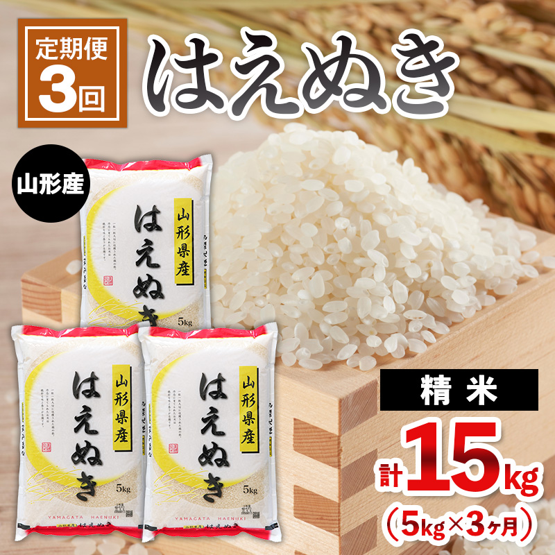 【定期便3回】山形産 はえぬき 5kg×3ヶ月(計15kg) FY25-483