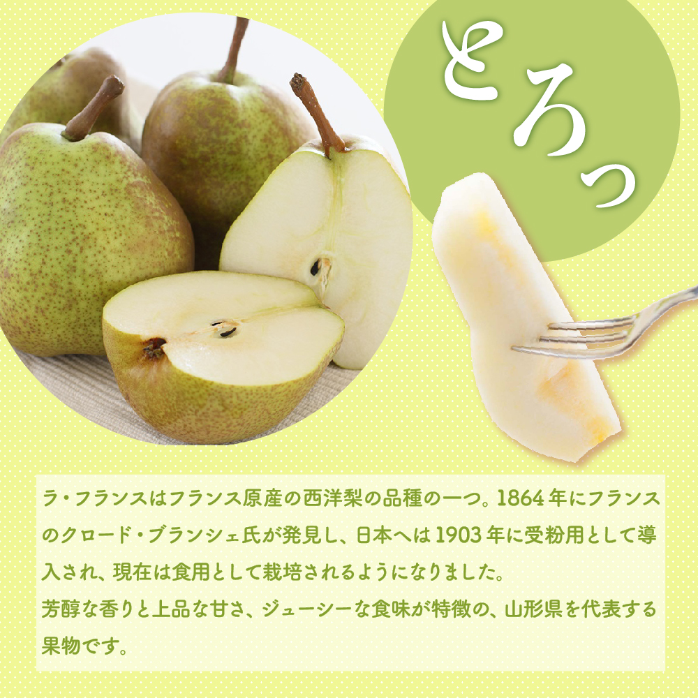 【先行予約】 令和8年産 ラ・フランス 約5kg 14玉 ～ 16玉 西洋梨 2026年11月上旬～12月上旬 お届け予定 山形県 米沢市