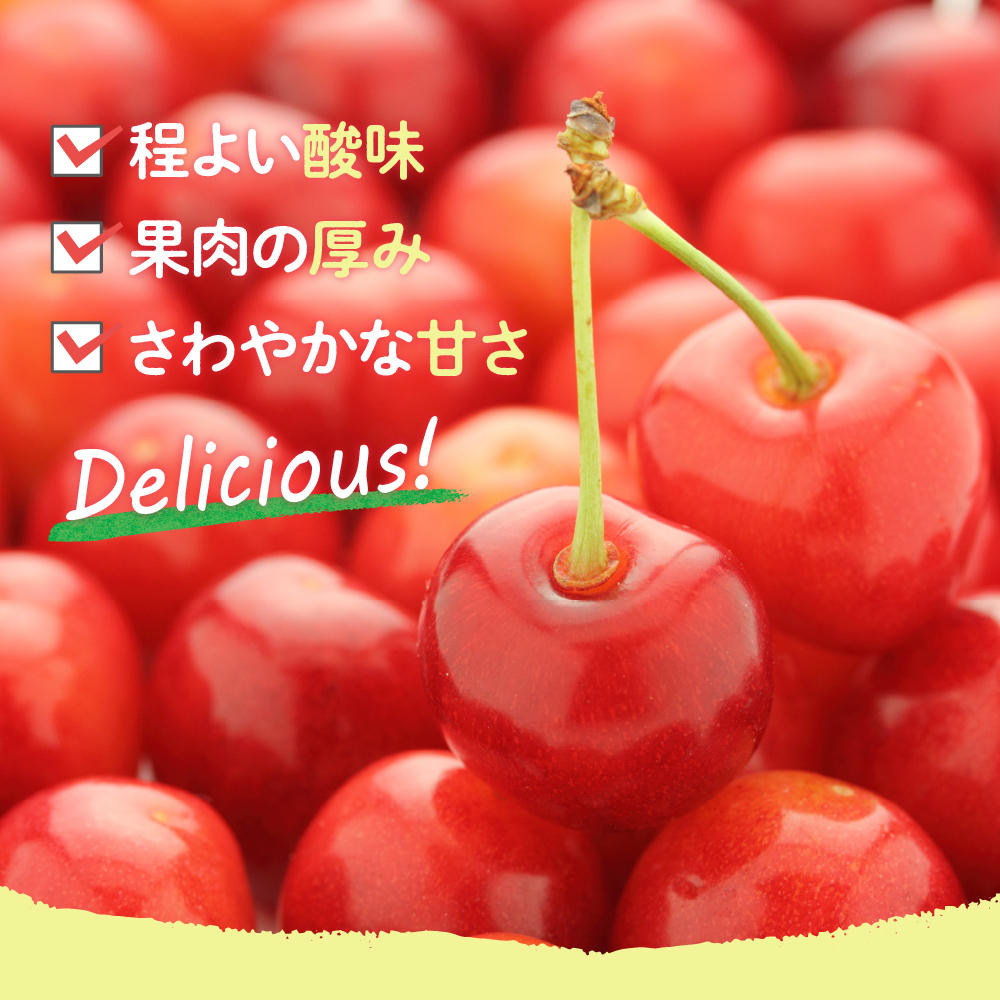 【先行予約】 令和8年産 さくらんぼ 佐藤錦 700g ( バラ詰め ) 2026年6月上旬～下旬頃お届け予定