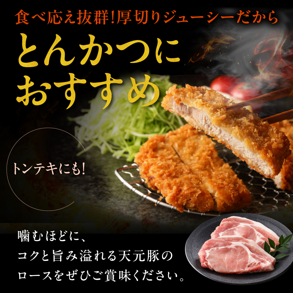 豚肉 天元豚 ロース とんかつ用 600g ( 100g × 6枚 ) ブランド豚 精肉 ポーク スライス 中厚切り 国産 山形県 米沢市