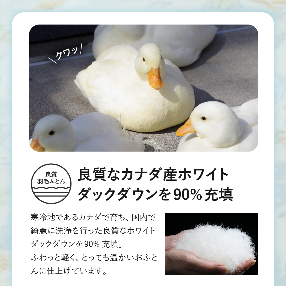 羽毛移動防止特殊構造 羽毛増量タイプ掛け布団 350dp ダブル ブルー