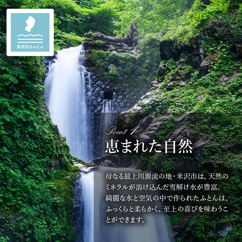 訳あり meguru羽毛掛けふとん ダウン70％ シングル ネイビー