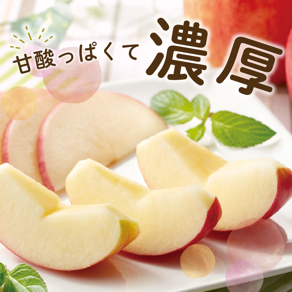 【先行予約】 令和8年産 紅玉 りんご 約2kg 9玉 ～ 13玉 舘山りんご フルーツアドバイザー 厳選 2026年10月中旬～下旬頃 お届け予定 山形県 米沢市